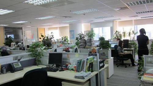 Hong Kong Genuine diesel power company linia produkcyjna producenta